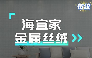 金属丝绒（布纹）丨海宜家艺术涂料施工教学